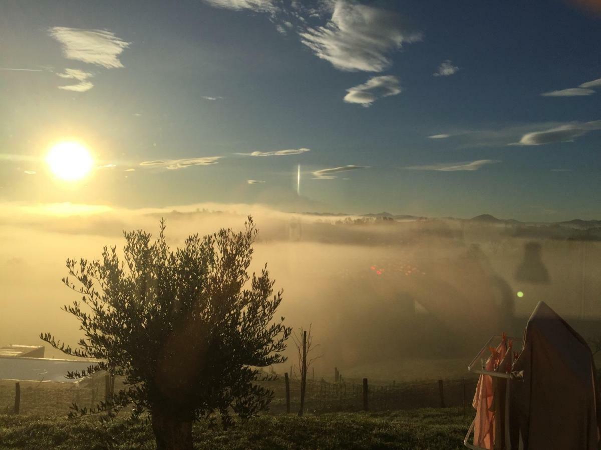 Ama Lur Hotel Hasparren Buitenkant foto